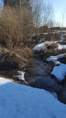 20170323_090054.jpg