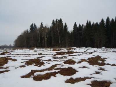 DSCN5348.JPG