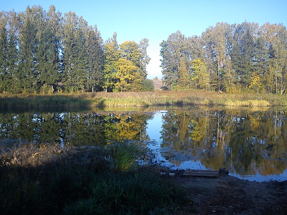 Залив, вид прямо..jpg (153.97 КБ, 163622 просмотра) Залив, вид прямо..jpg