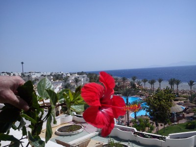 DSC07623.jpg (641.37 КБ, 18199 просмотров) DSC07623.jpg