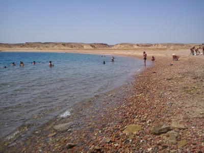 DSC07639.jpg (1003.19 КБ, 18076 просмотров) DSC07639.jpg