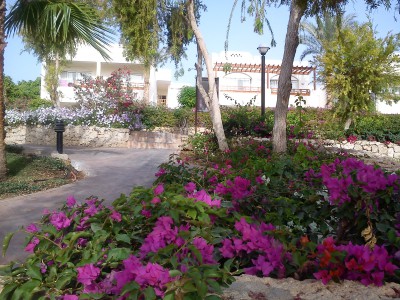 DSC07697.jpg (1.21 МБ, 18076 просмотров) DSC07697.jpg