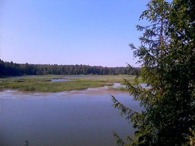 истринское водохранилище.jpg (32.78 КБ, 337157 просмотров) истринское водохранилище.jpg