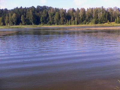 истринское водохранилище 2.jpg (32.57 КБ, 337157 просмотров) истринское водохранилище 2.jpg