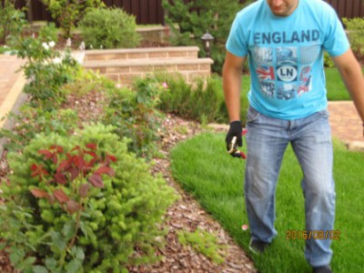 Obrezka-derevjev_06_.jpg (43.85 КБ, 6295 просмотров) Obrezka-derevjev_06_.jpg