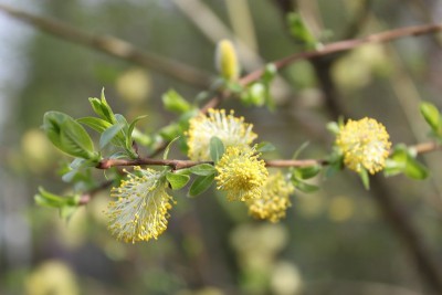 image.jpg (23.36 КБ, 32940 просмотров) image.jpg