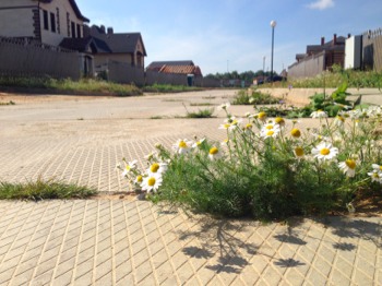 IMG_1613.jpg (44.28 КБ, 26537 просмотров) IMG_1613.jpg