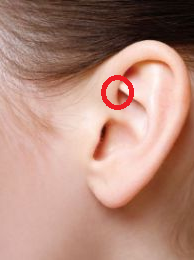 От лобной, головной боли.png (60.22 КБ, 8229 просмотров) От лобной, головной боли.png